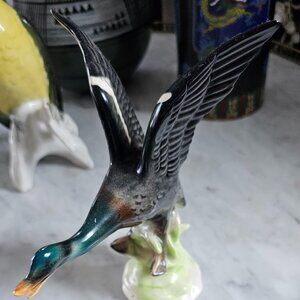 Antique rare Cortendorf West Germany Bird Figurine